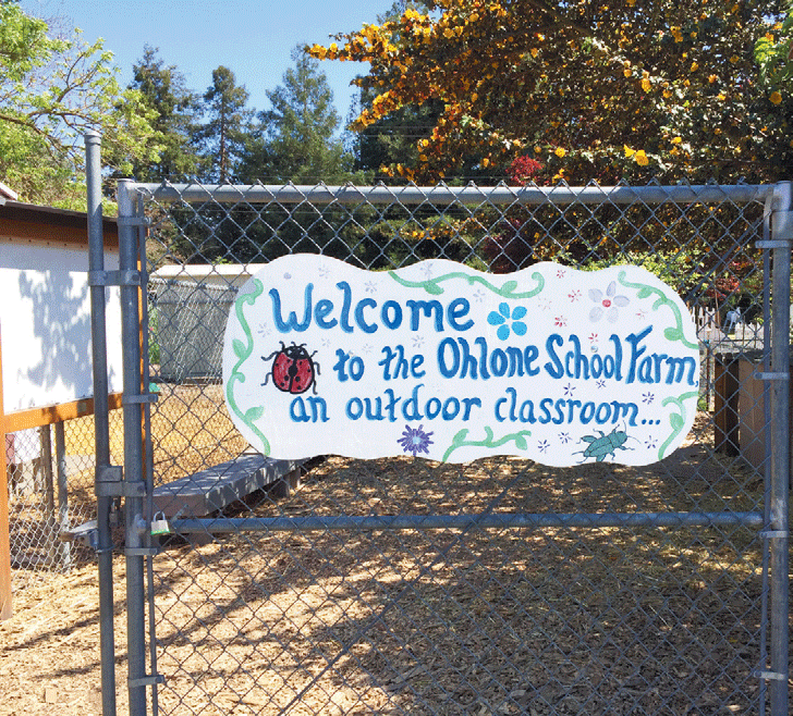 ohlone-public-elementary-04.gif