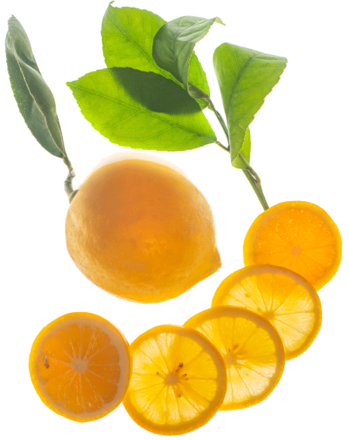 My-Oh-Meyer Lemons | Edible Silicon Valley