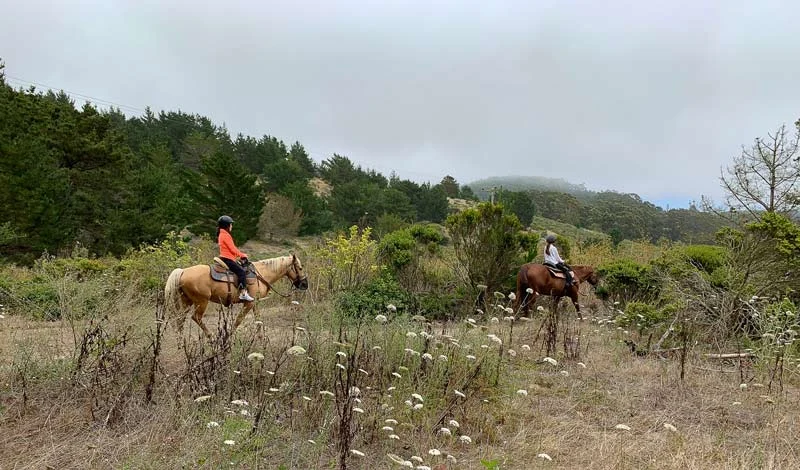 Giddyup: Get Outside and Ride | Edible Silicon Valley