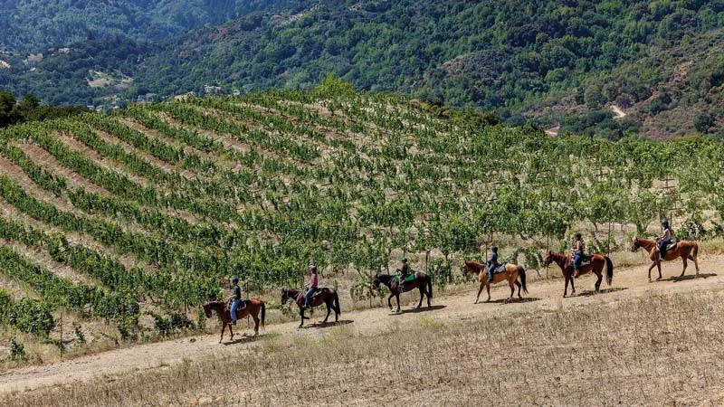 Giddyup: Get Outside and Ride | Edible Silicon Valley