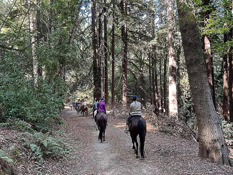 Giddyup: Get Outside and Ride | Edible Silicon Valley