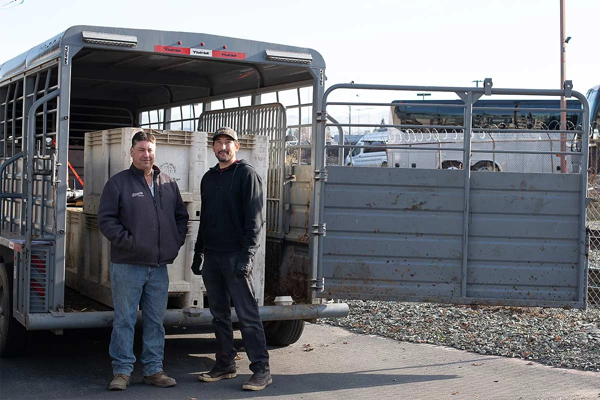 Robert Bianchi and Brian Edwards with the loaded Hapa's Brewing Co. spent grain.