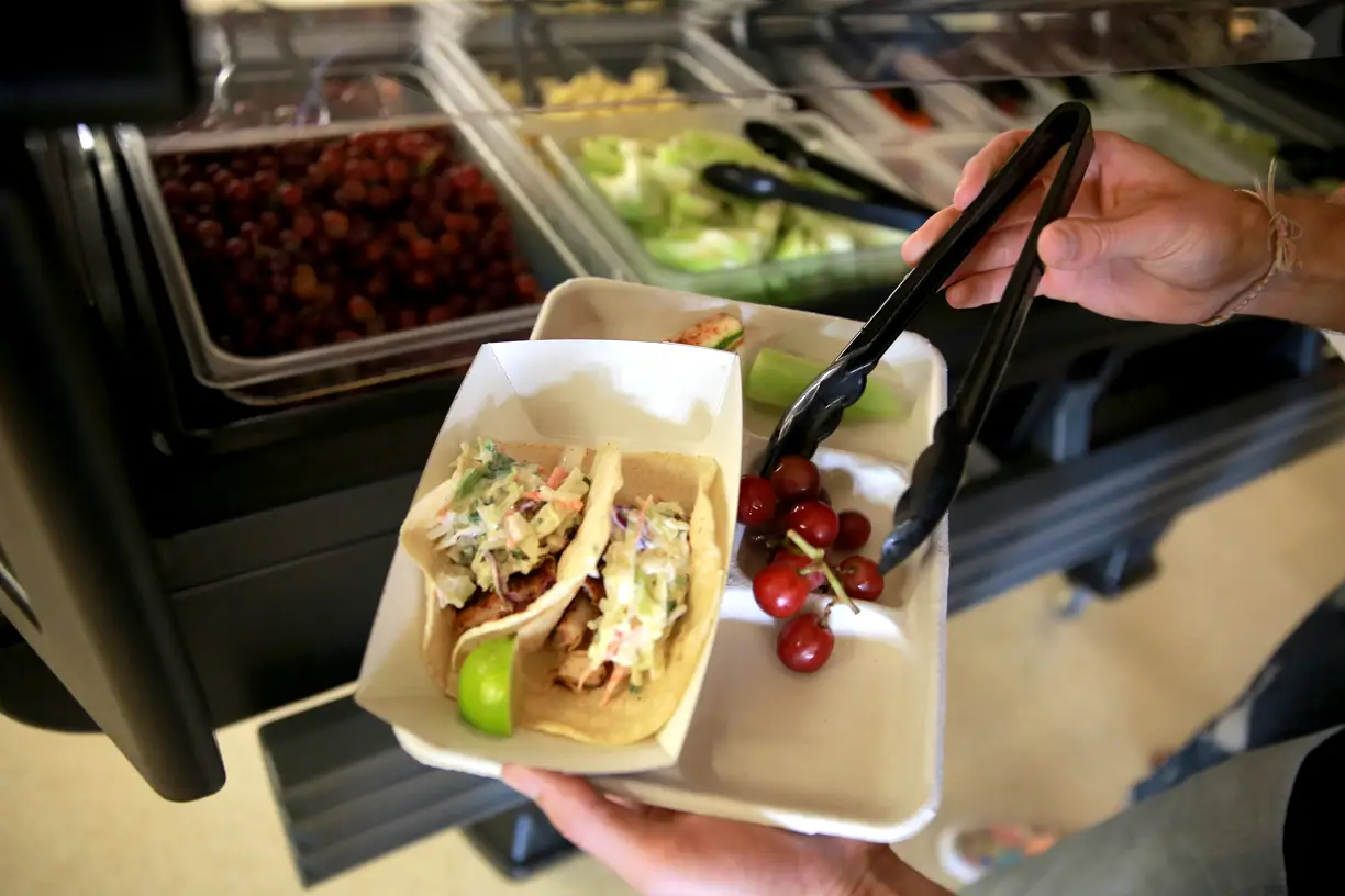 Bay2Tray Image 1.jpg