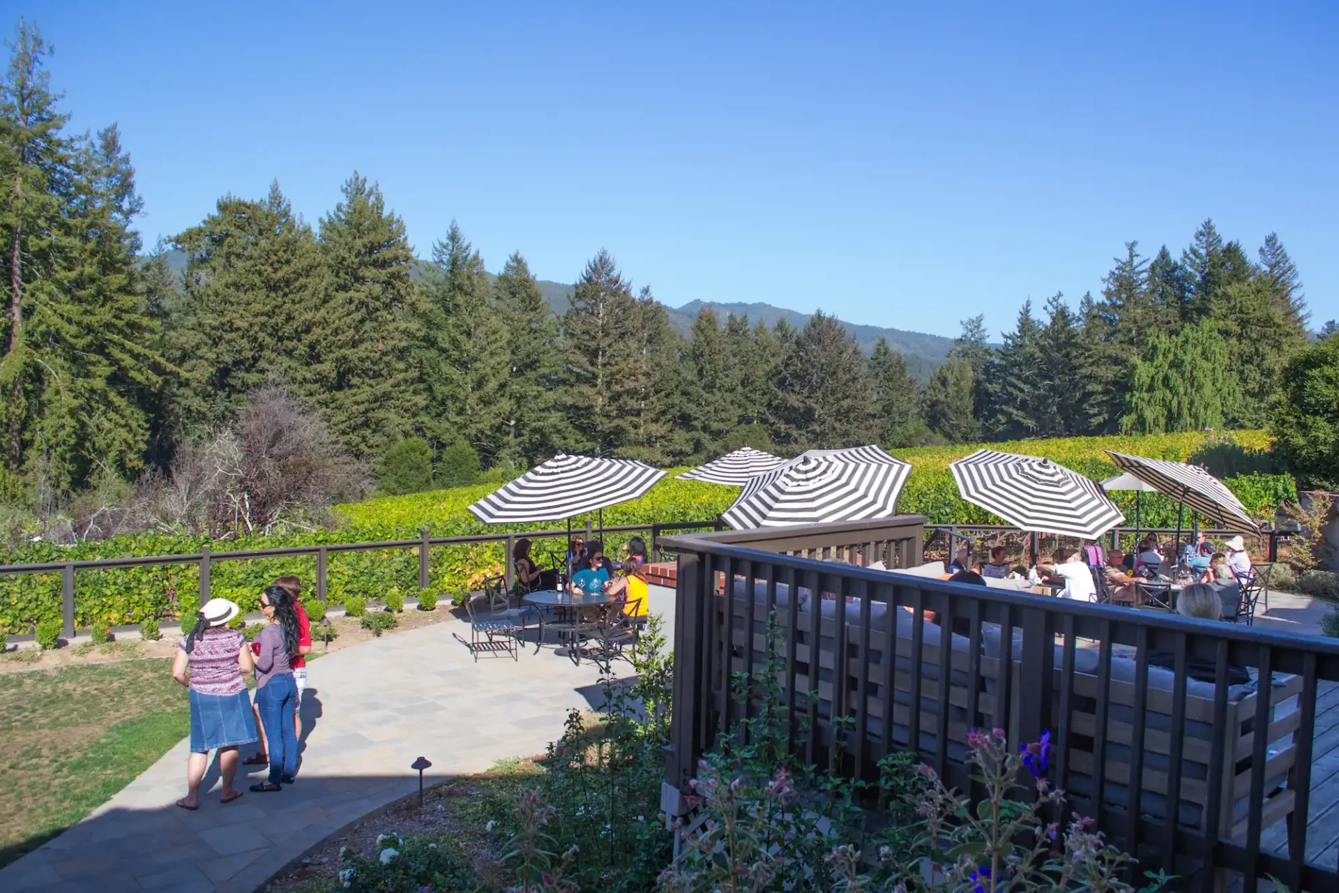 a mountain harvest festival