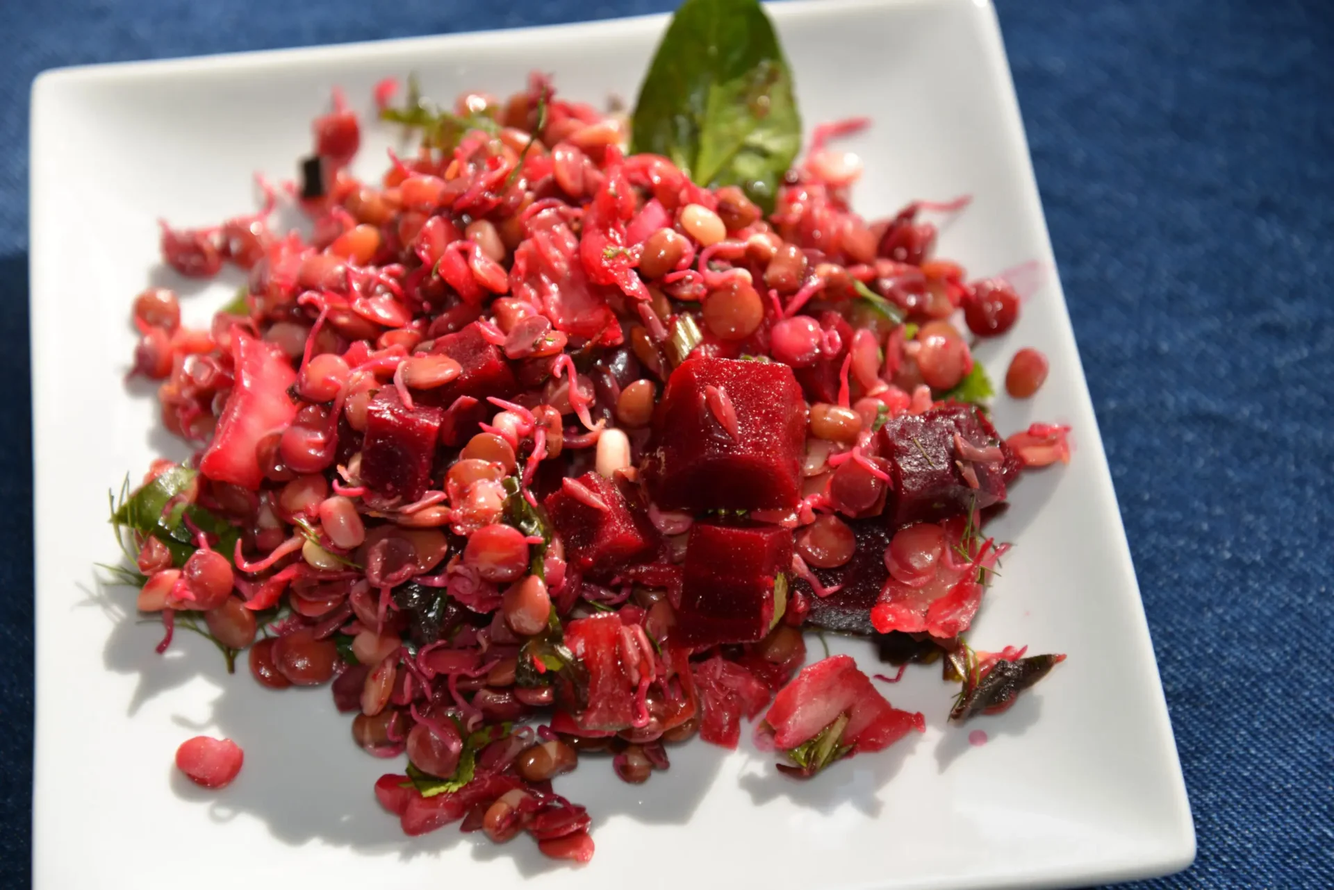 Sprouted Lentil Anti-Inflammatory Salad