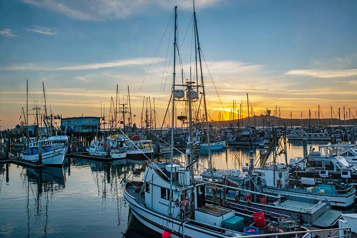 Fishing boats at Pillar Point Harbor at Sunset. Photo by Paulette Phlipot.