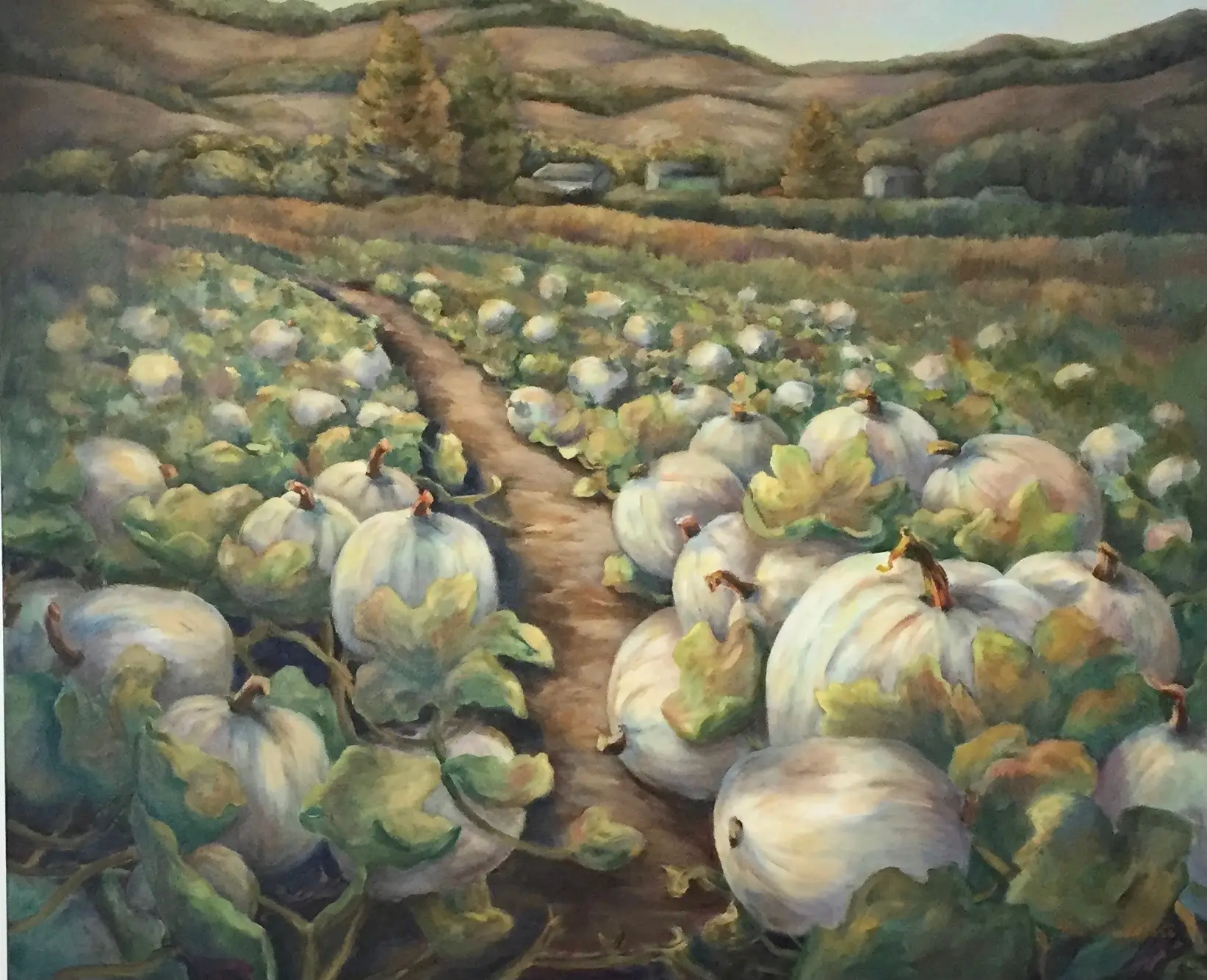 Half Moon Bay_2444.jpeg