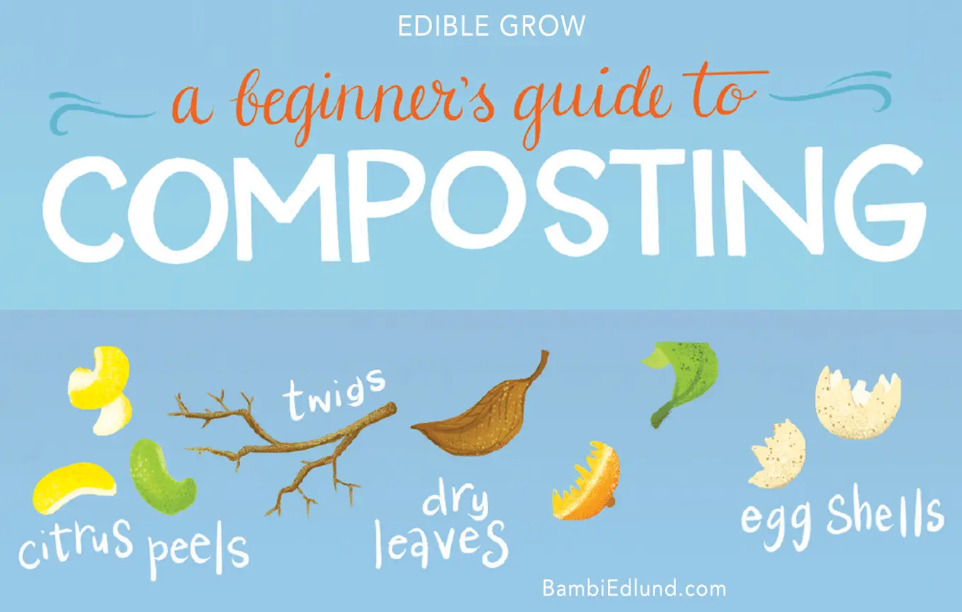 Hero-EdibleInk-Composting-Infographic-Edible-Grow.jpg