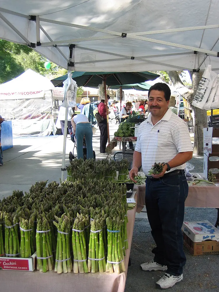 Louie - Cecchini.jpg