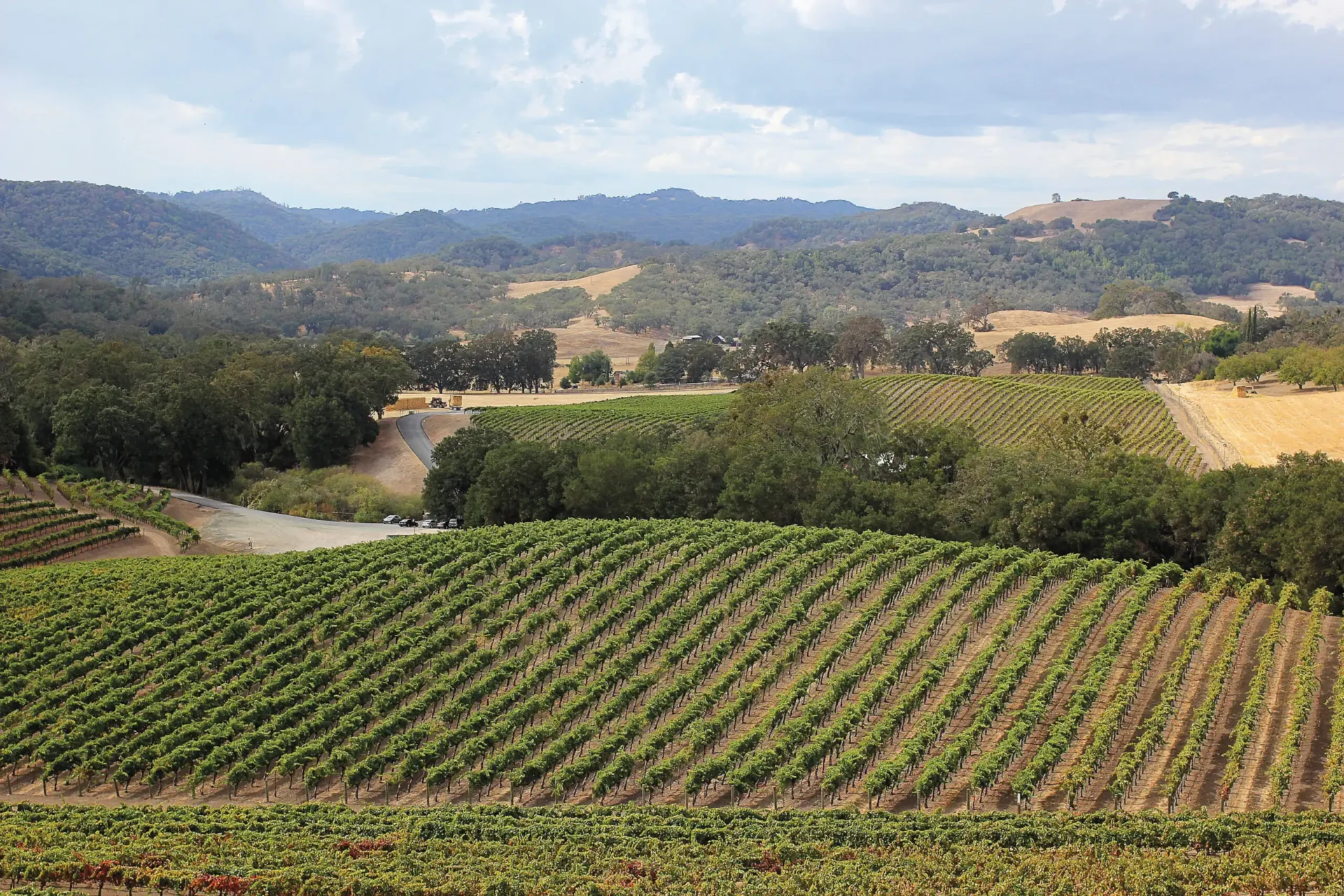 Paso-Robles_7-View-from-Opolo-Vineyards-.jpg