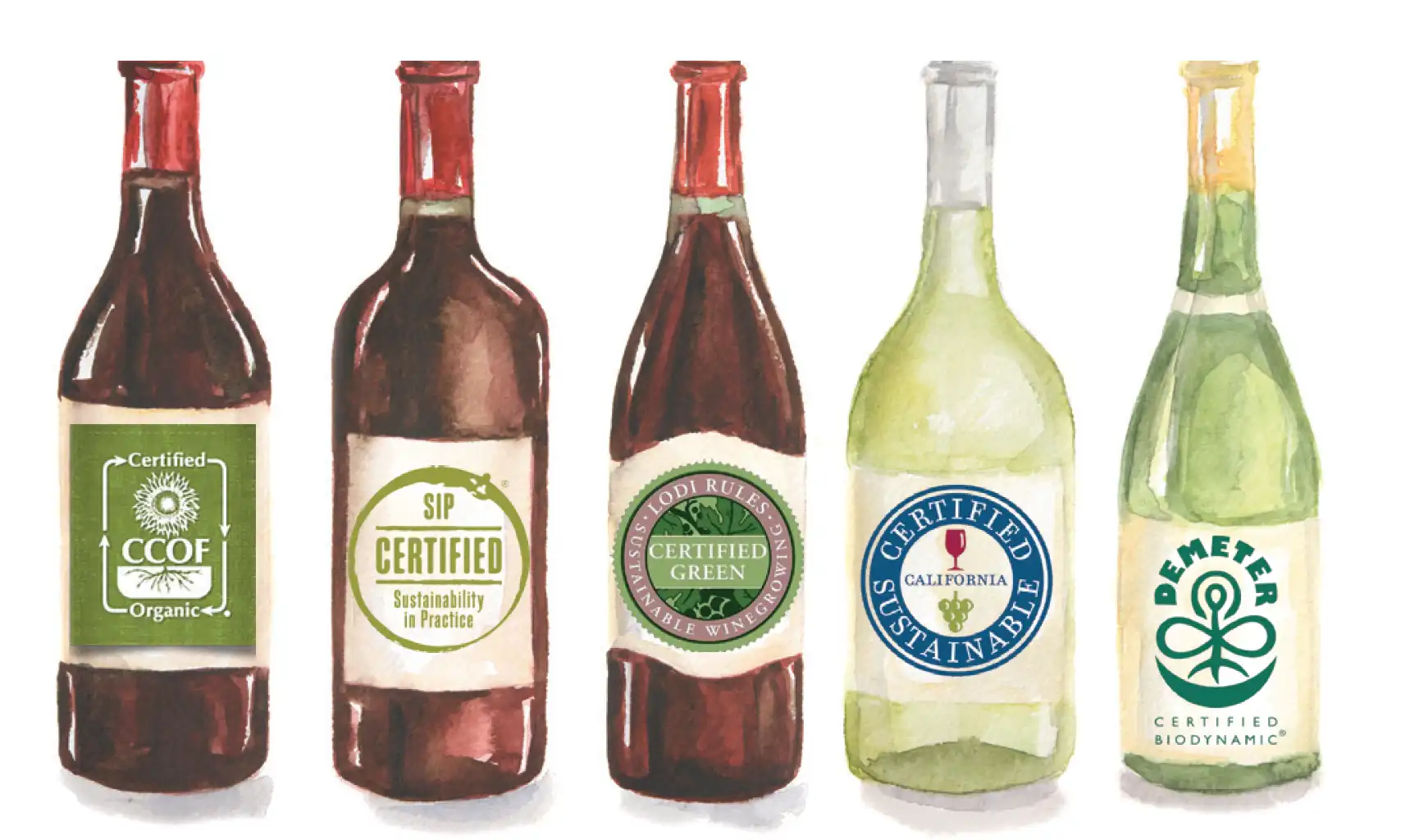 Screen Shot 2021-09-13 at 2.58.03 PM.png