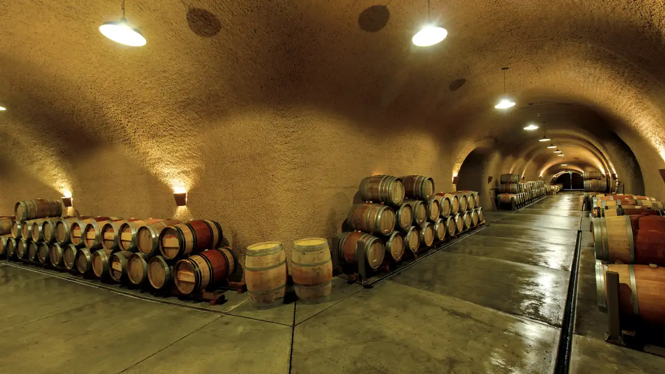 The-caves-at-Byington-Vineyard-in-Los-Gatos-Courtesy-of-Byington-Vineyard.png
