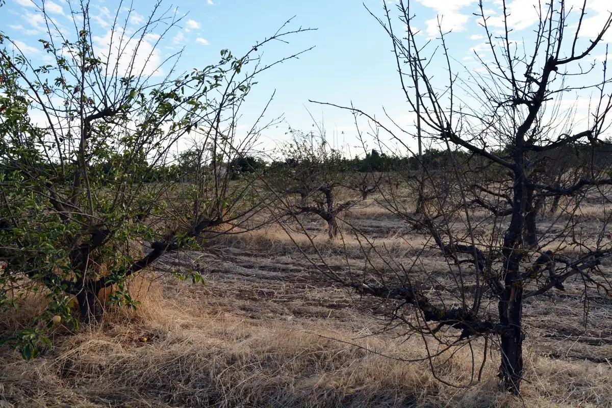 drought in southern california