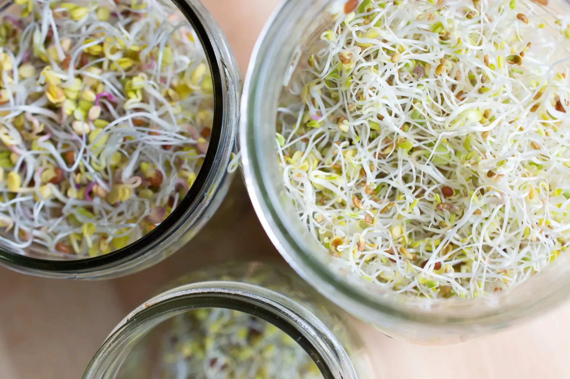 How to Grow Sprouts in a Mason Jar