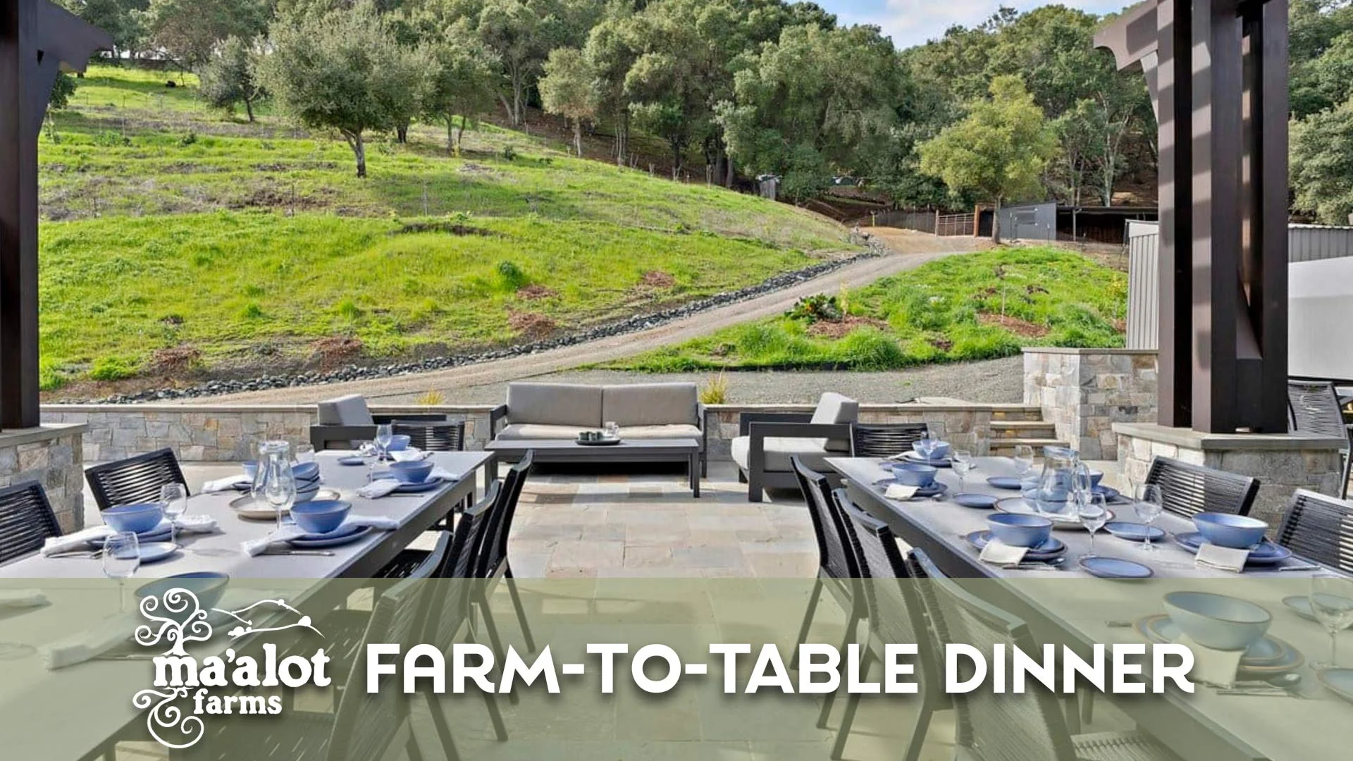 Farm-to-Table Dinner at Ma'alot Farms