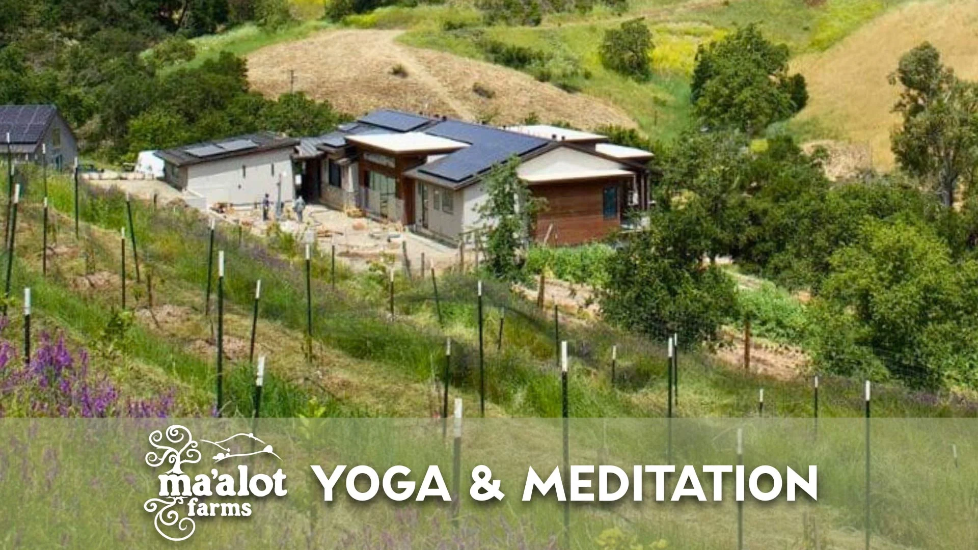 Yoga and Meditation at Ma'alot Farms