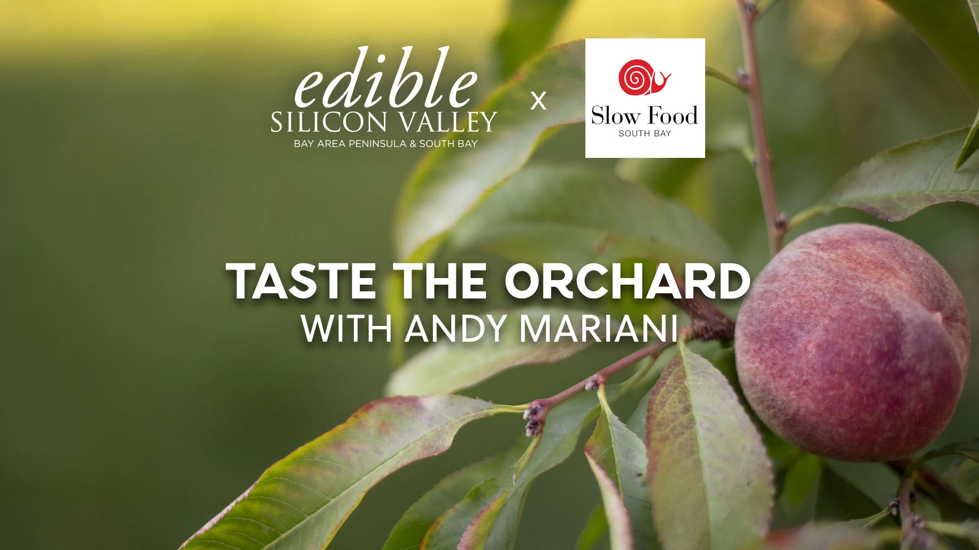 Taste the Orchard