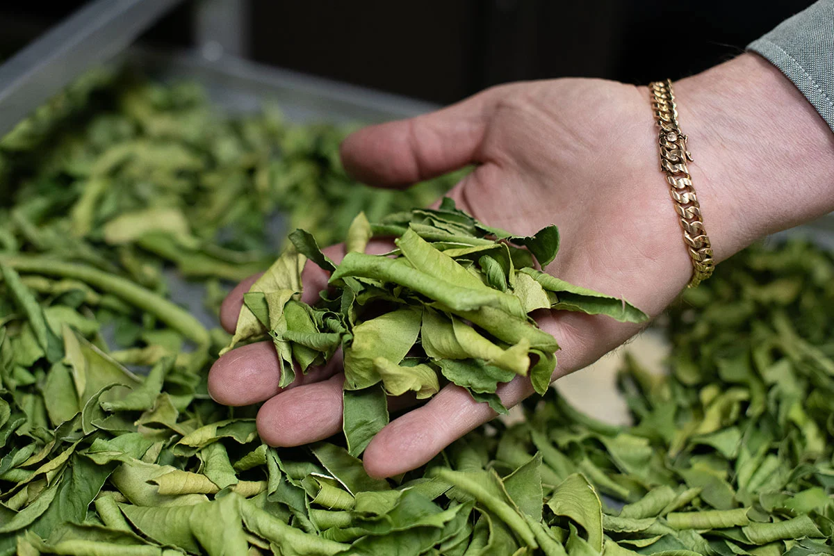Makrut lime leaves on drying racks at Angkor Chef